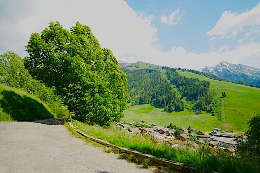 Appartement Cozy Dans Chalet 6 Pers Voiture 4 Roues Motrice A Dispo La Clusaz Bagian luar foto